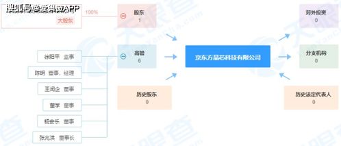 注冊資本9.5億元，京東方成立晶芯科技公司，深化布局物聯(lián)網(wǎng)技術服務