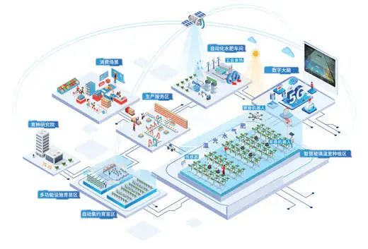 物聯網走進云興小學 植物工廠點亮智慧教育新篇章